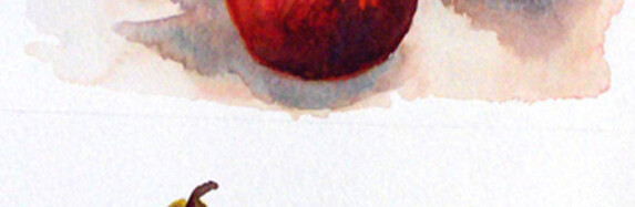 Fruit